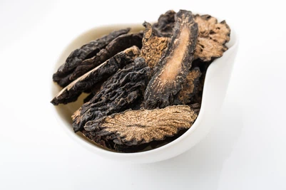 Cistanche deserticola Cistanche deserticola