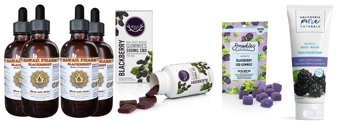 blackberry extract powder application