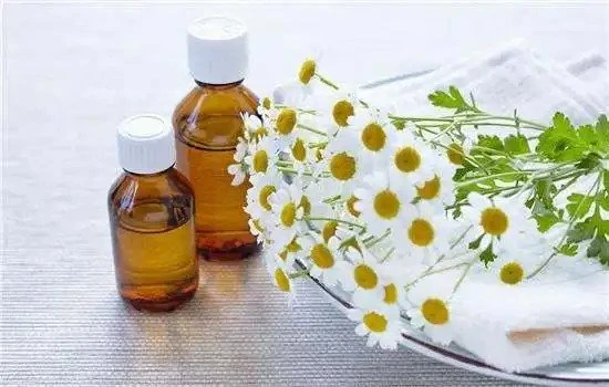 chamomile oil