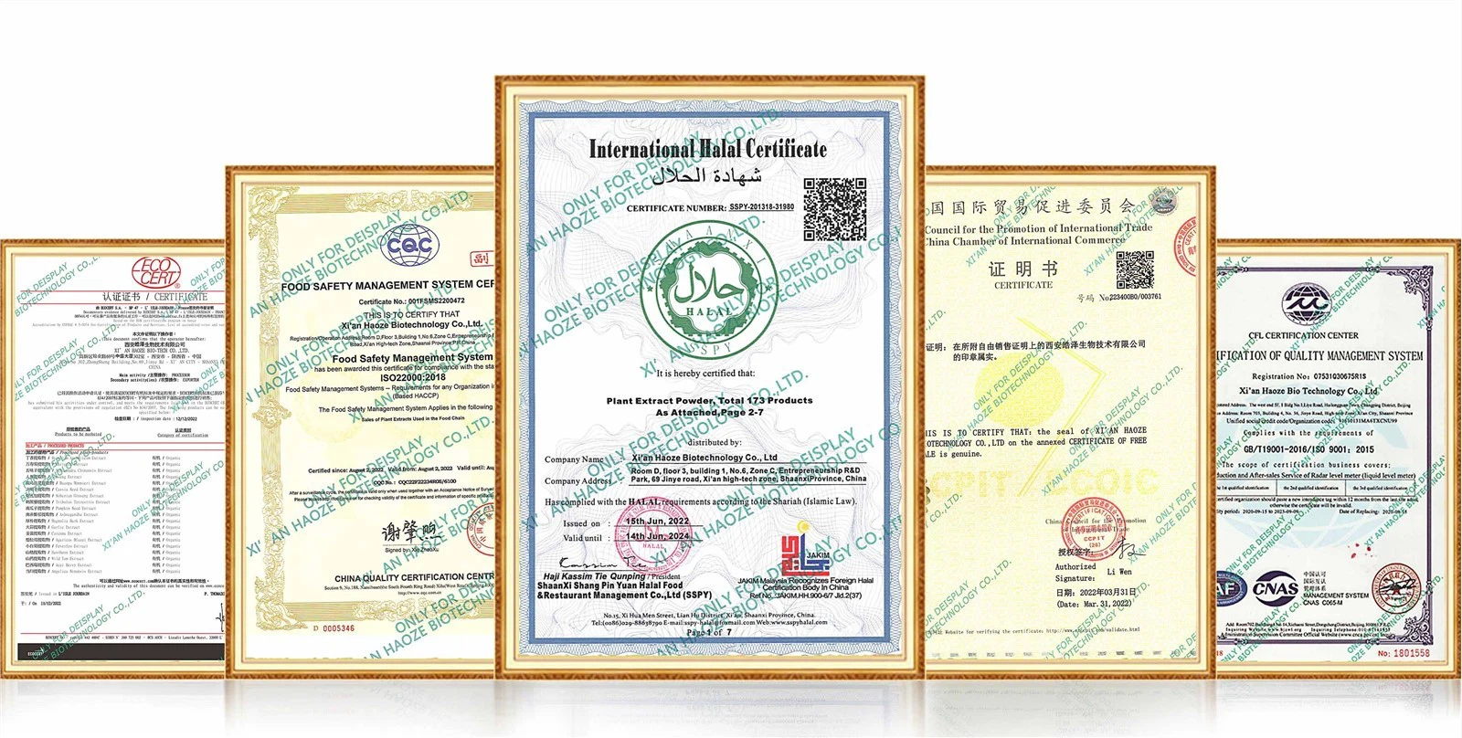 fadogia agrestis Certificate