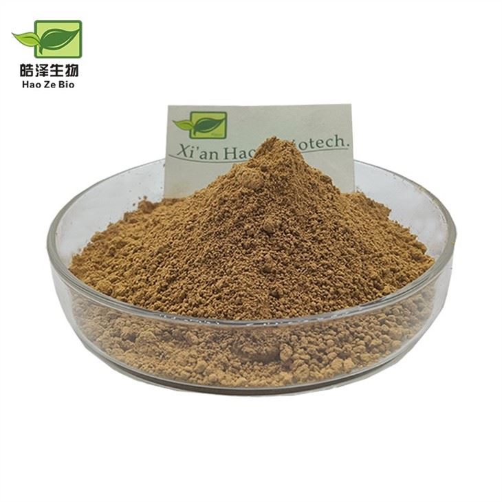 Wormwood Extract Powder